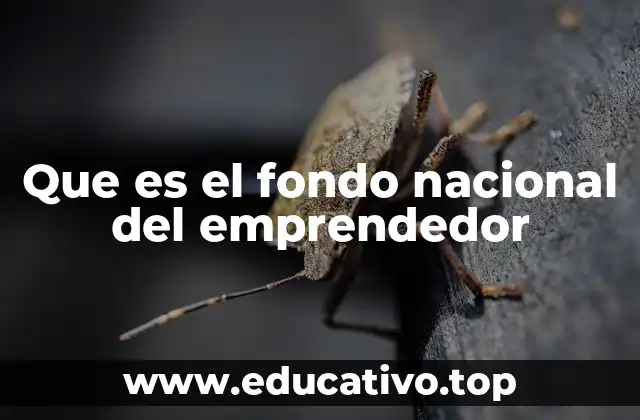 Que es el fondo nacional del emprendedor