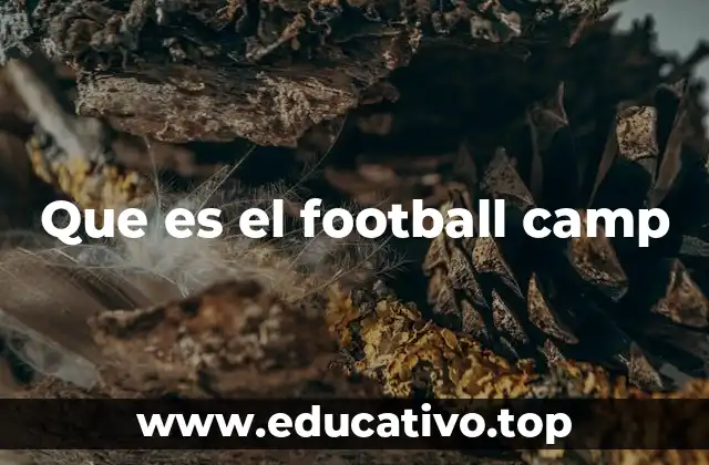 El fútbol americano en acción: una experiencia inmersiva