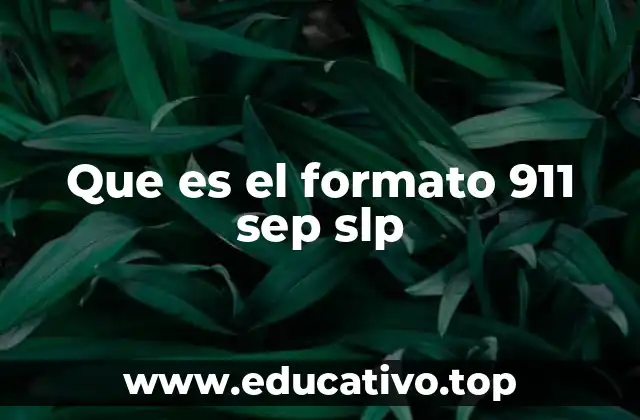 Que es el formato 911 sep slp