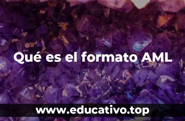 El rol del formato AML en la regulación financiera