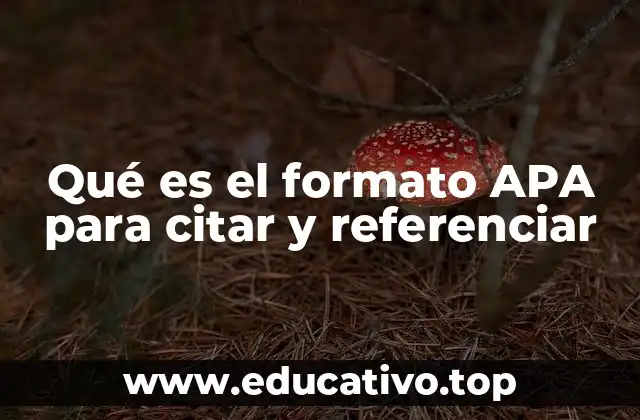 Qué es el formato APA para citar y referenciar