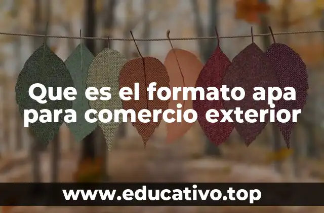 Que es el formato apa para comercio exterior