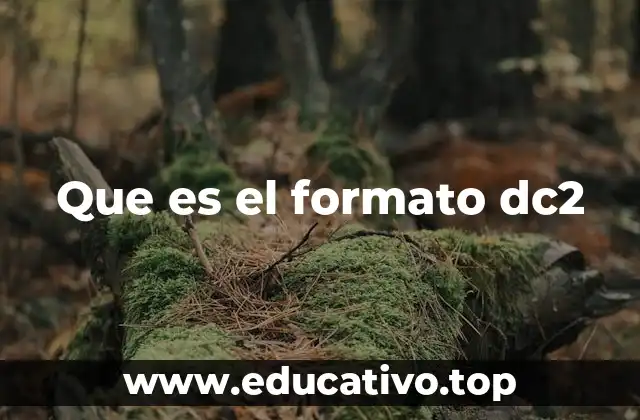 Que es el formato dc2