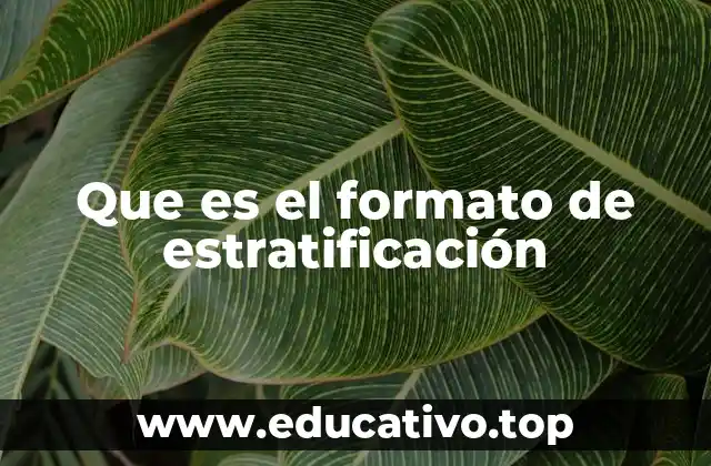 Que es el formato de estratificación