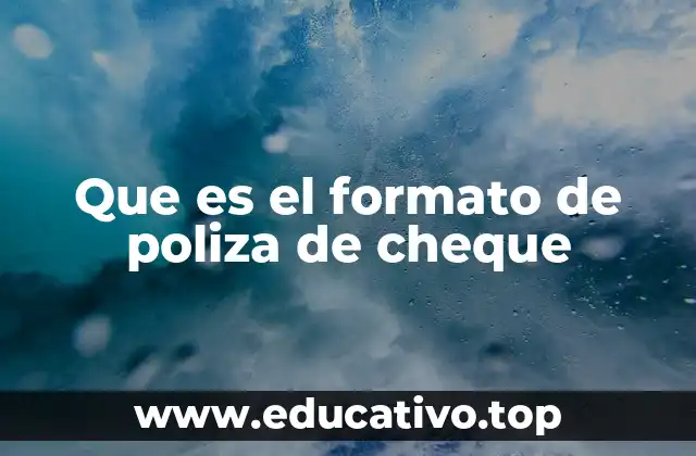 Que es el formato de poliza de cheque