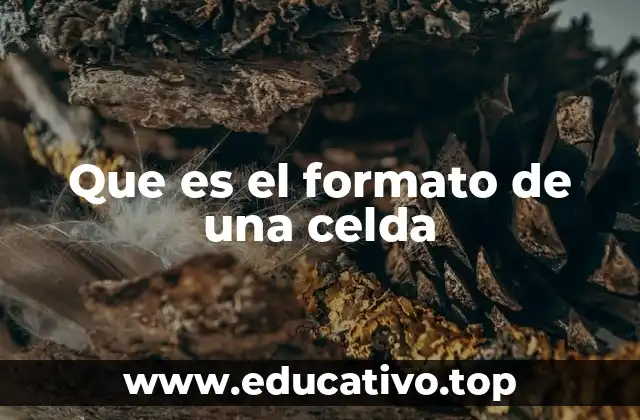 Que es el formato de una celda