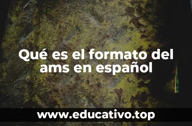 Qué es el formato del ams en español