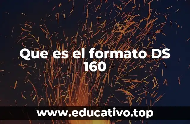 Que es el formato DS 160