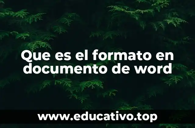 Que es el formato en documento de word