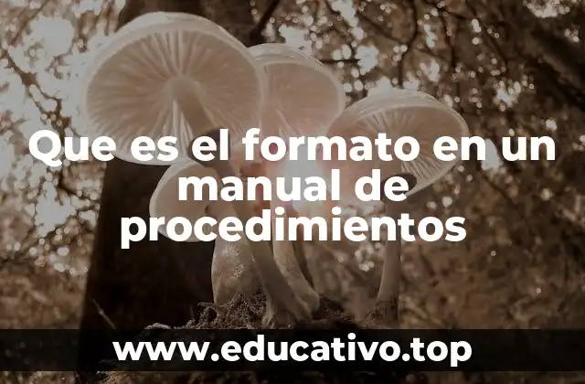 Que es el formato en un manual de procedimientos