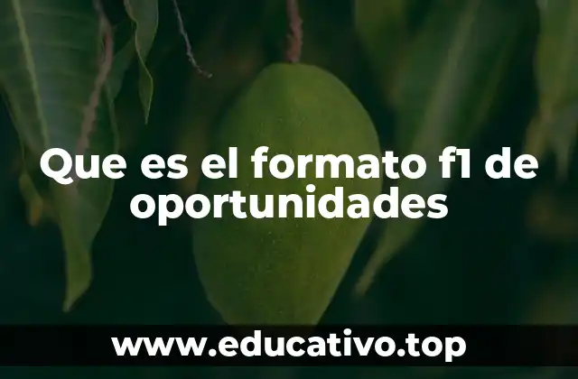 Que es el formato f1 de oportunidades