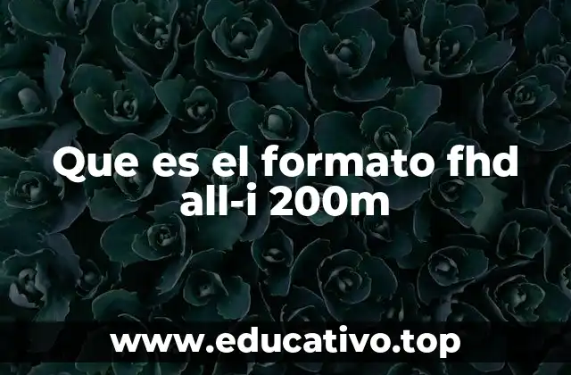 Que es el formato fhd all-i 200m