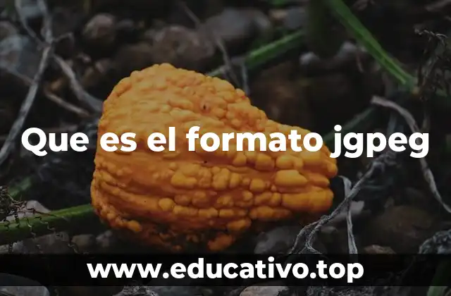 Que es el formato jgpeg