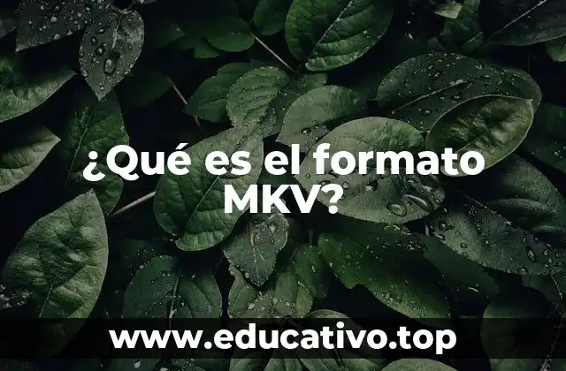 ¿Qué es el formato MKV?