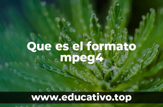 Que es el formato mpeg4