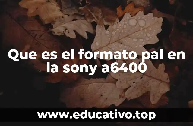 Que es el formato pal en la sony a6400