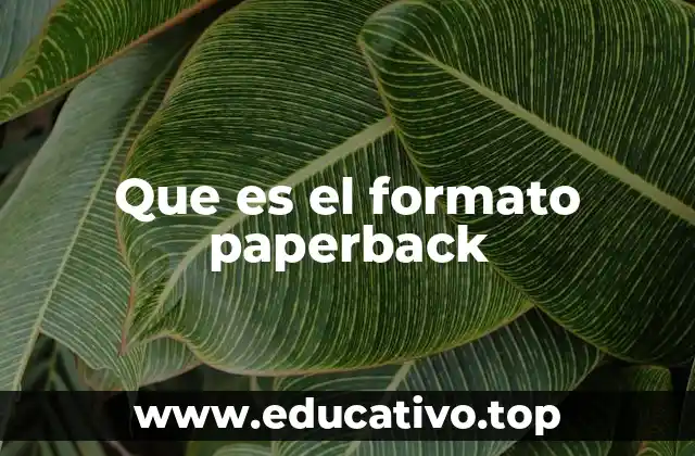 Que es el formato paperback