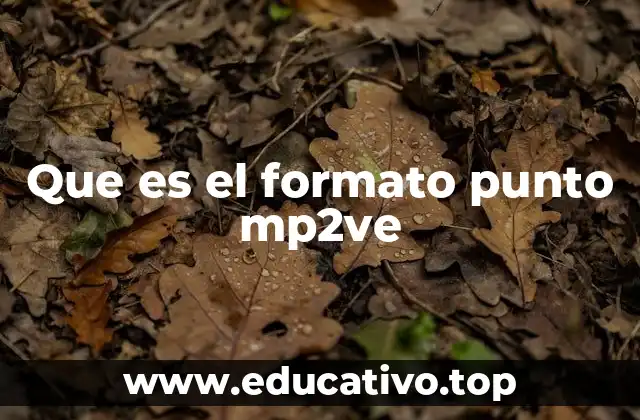 Que es el formato punto mp2ve