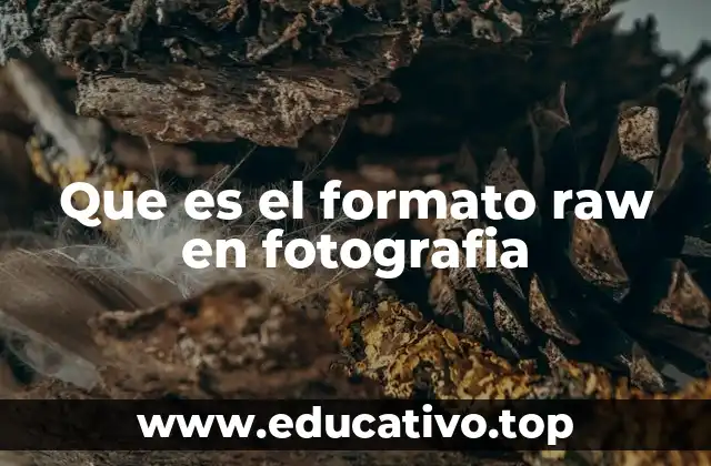 Ventajas y desventajas del uso de imágenes en formato RAW