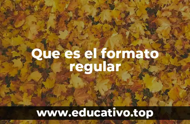 Que es el formato regular