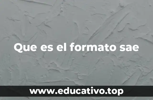 Que es el formato sae