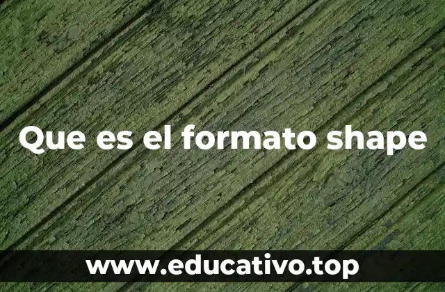 Que es el formato shape