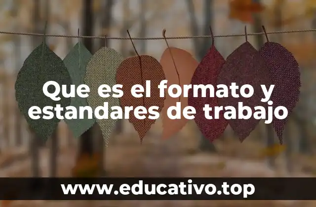 Que es el formato y estandares de trabajo