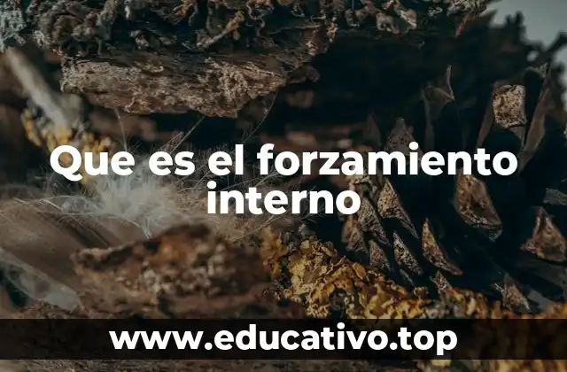 Que es el forzamiento interno