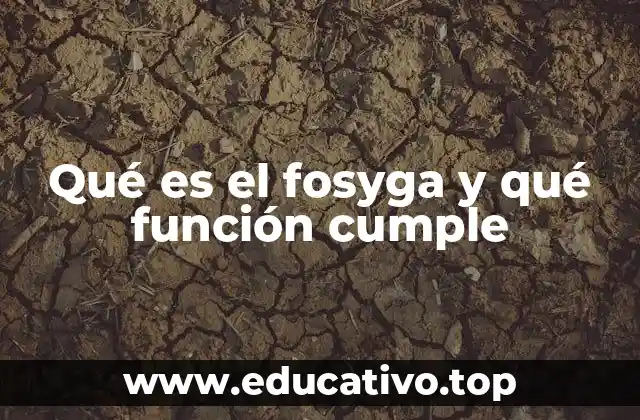 Qué es el fosyga y qué función cumple