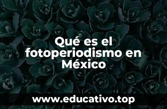 Qué es el fotoperiodismo en México
