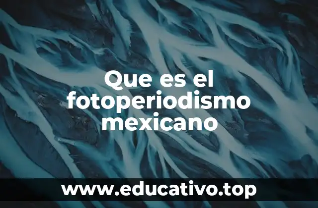 Que es el fotoperiodismo mexicano