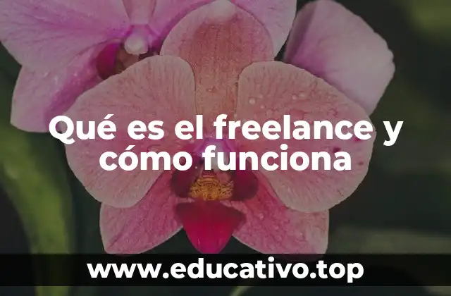 Qué es el freelance y cómo funciona