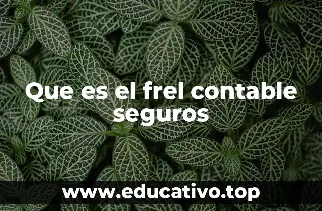 Que es el frel contable seguros