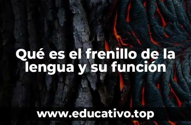 Qué es el frenillo de la lengua y su función