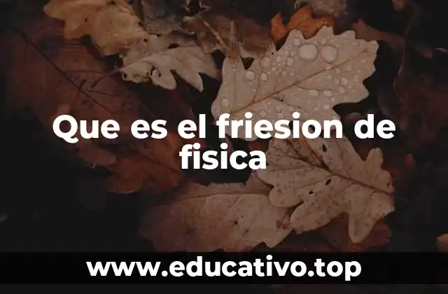 Que es el friesion de fisica
