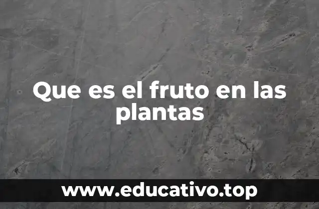 Que es el fruto en las plantas