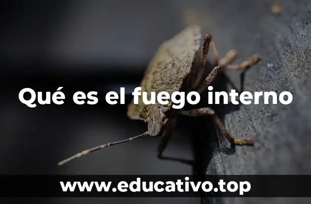 Qué es el fuego interno
