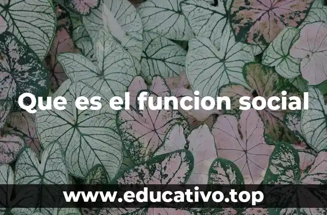 Que es el funcion social