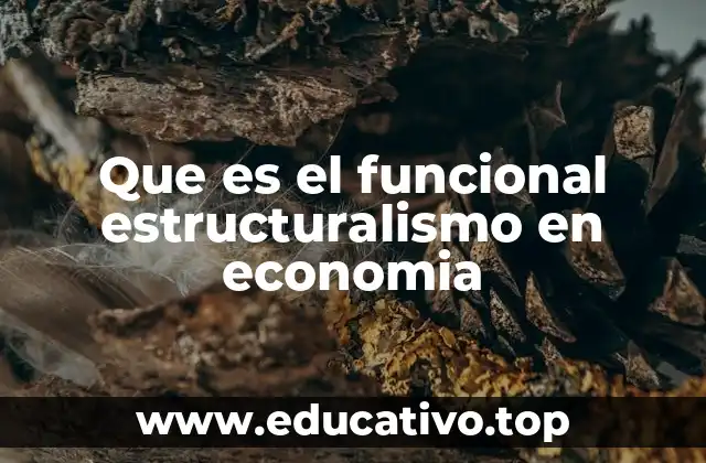 El enfoque funcional estructural en el análisis económico