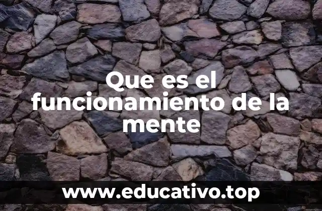 El cerebro como motor del funcionamiento de la mente