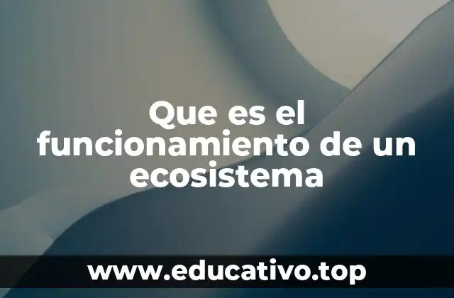 Que es el funcionamiento de un ecosistema