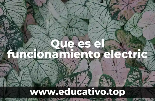 Cómo se genera la energía eléctrica y cómo se utiliza