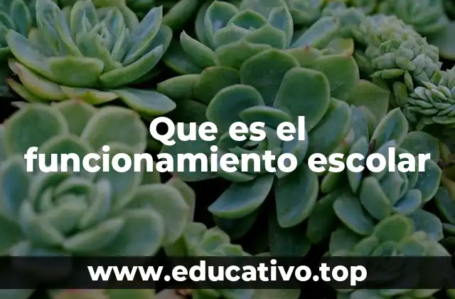 Que es el funcionamiento escolar