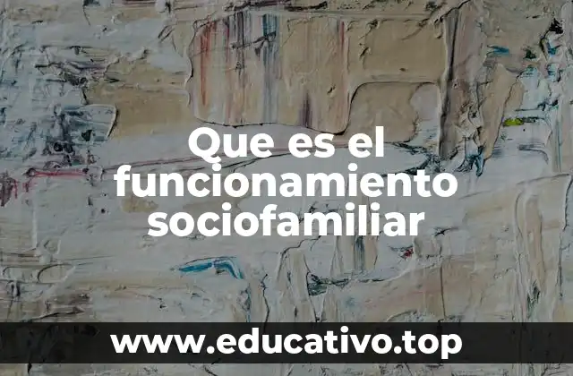 Que es el funcionamiento sociofamiliar