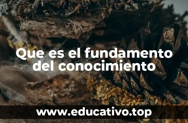 Que es el fundamento del conocimiento
