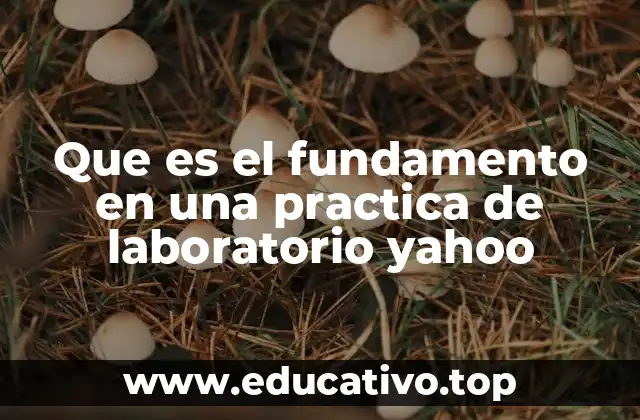 Que es el fundamento en una practica de laboratorio yahoo