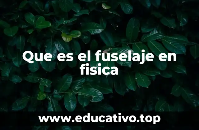 Que es el fuselaje en fisica