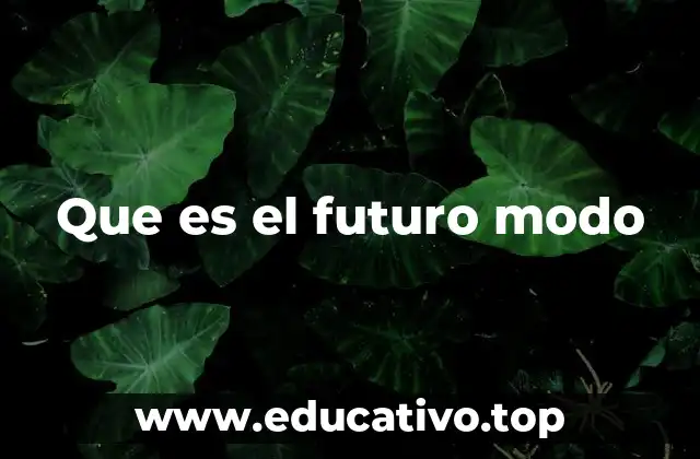 Que es el futuro modo