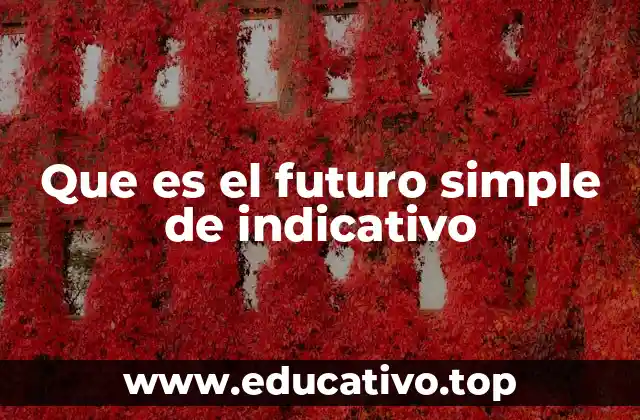 Que es el futuro simple de indicativo