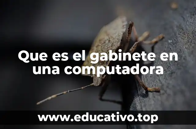 La importancia de la estructura física en los equipos de cómputo